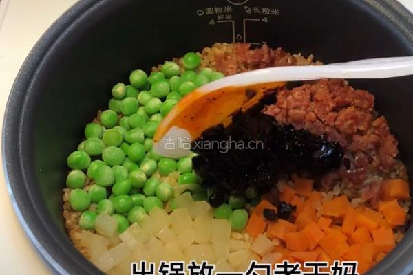 煲仔饭的做法图解5