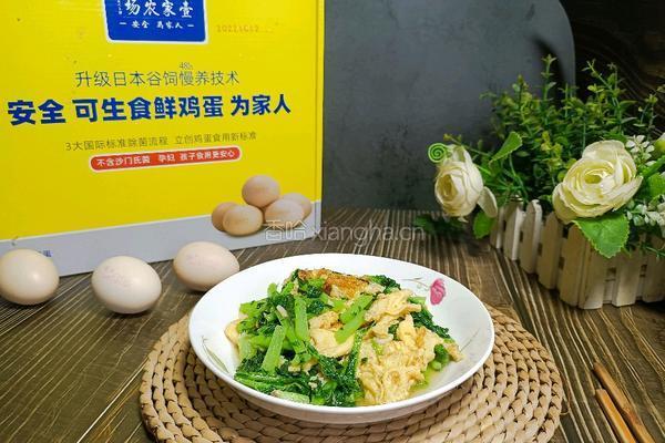 萝卜缨炒鸡蛋