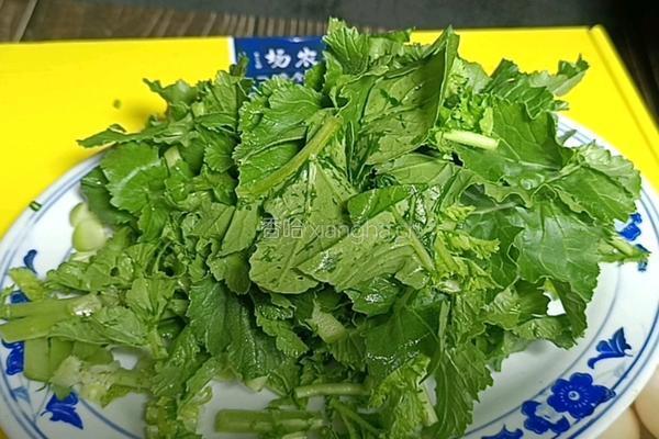 萝卜缨炒鸡蛋的做法图解1