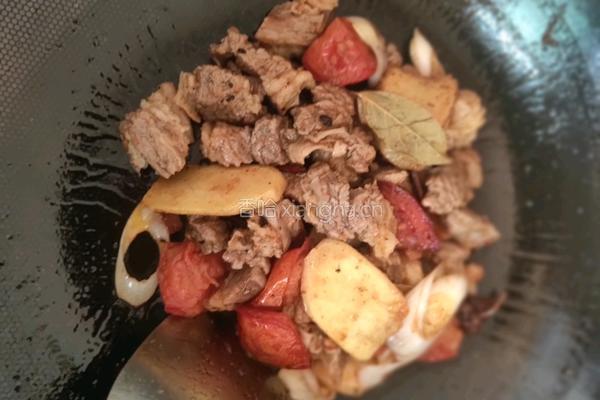番茄土豆炖牛腩的做法图解9