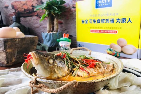 鲤鱼蒸蛋的做法图解11