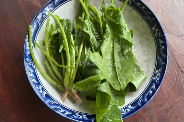 菠菜蛋汤 的做法图解2