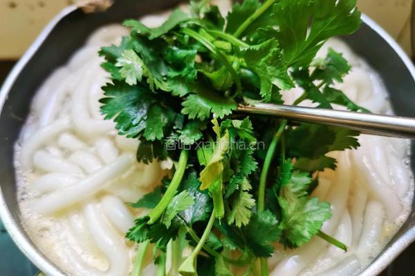 鲜味土豆粉的做法图解8