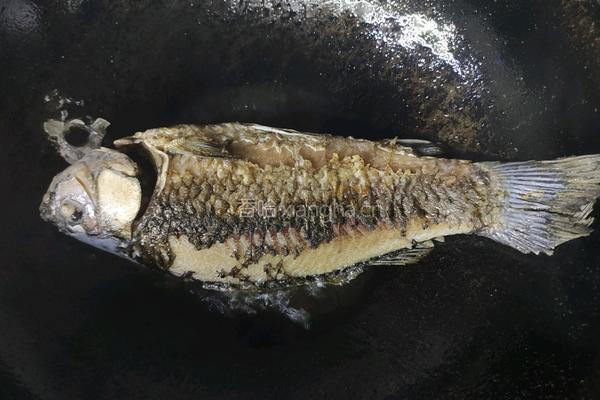 营养奶白鲫鱼豆腐汤的做法图解4