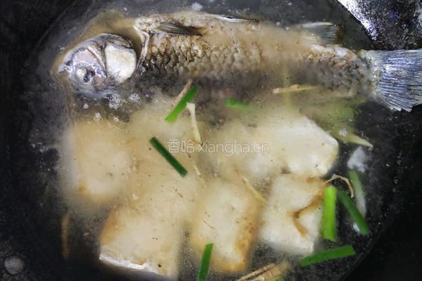 营养奶白鲫鱼豆腐汤的做法图解7