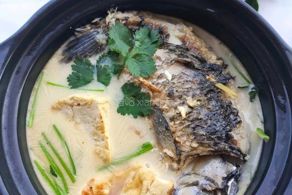 营养奶白鲫鱼豆腐汤的做法图解12