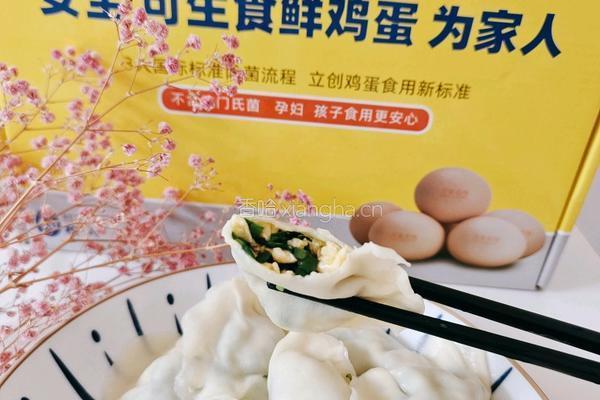 韭菜鸡蛋饺子的做法图解21