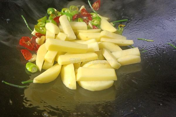 土豆炖小白菜的做法图解5