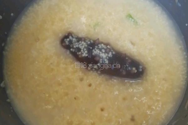 姜末海参小米粥的做法图解7