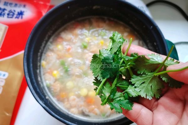 杂蔬鸡肉粥的做法图解9
