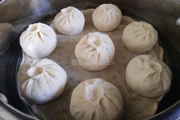 茴香鸡蛋馅包子的做法图解16