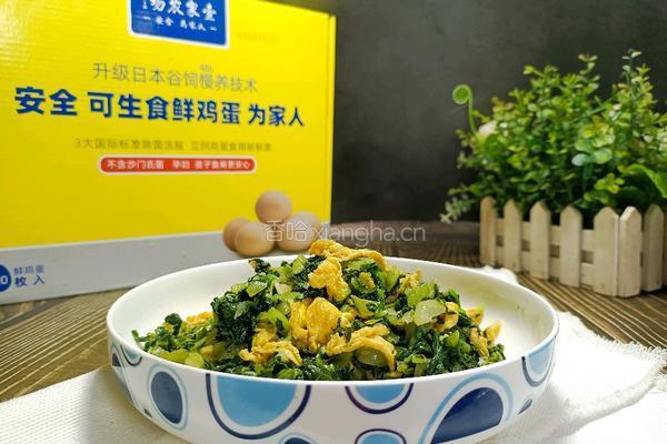 泡菜炒鸡蛋的做法图解11