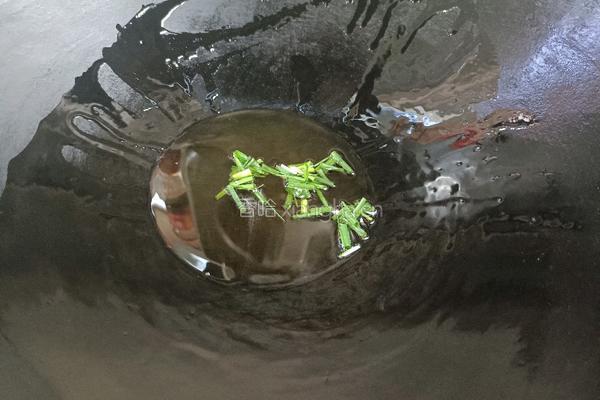 泡菜炒鸡蛋的做法图解4