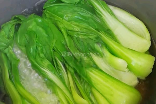 蒜蓉油菜的做法图解11