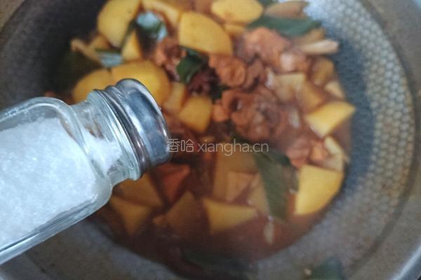 土豆炖鸡块的做法图解11