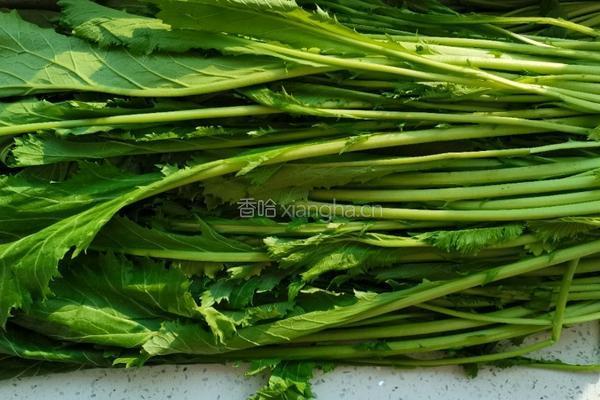 自制梅干菜的做法图解1