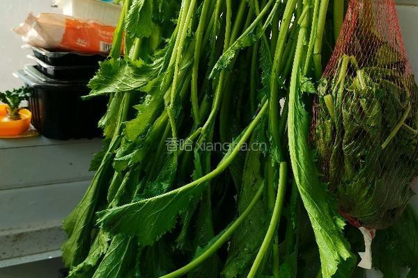 自制梅干菜的做法图解2