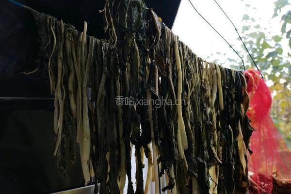 自制梅干菜的做法图解6