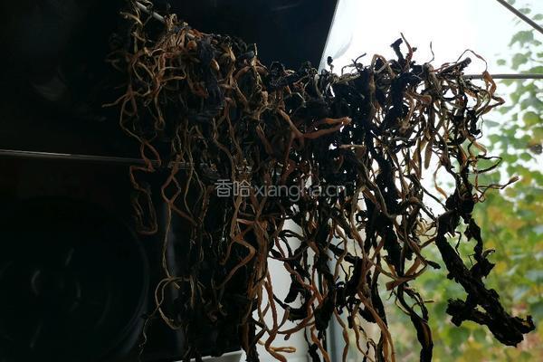 自制梅干菜的做法图解11