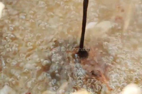 鱼头泡饼的做法图解4