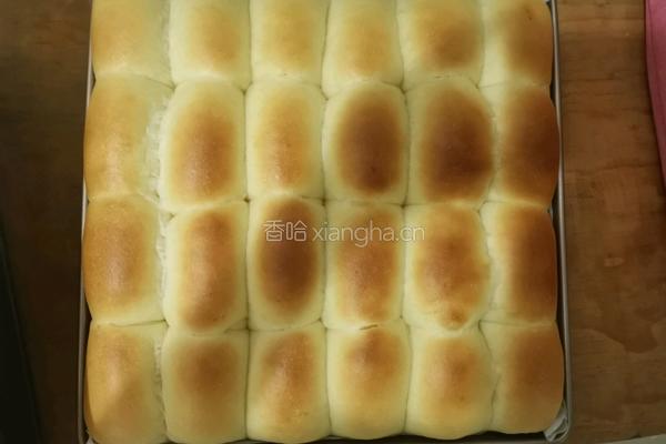 老面包(液种版)