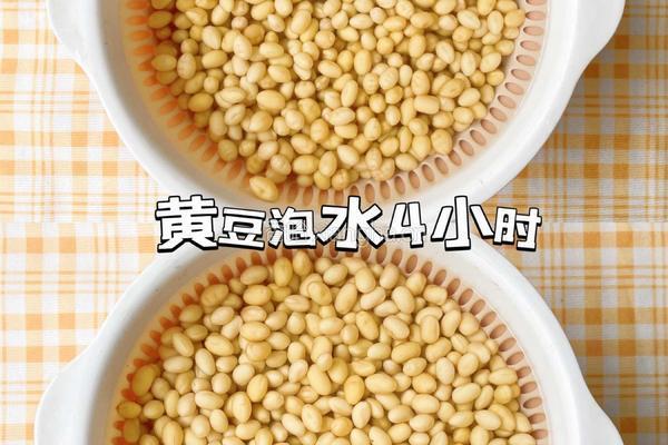 酱焖黄豆！记得多准备一些米饭吧！的做法图解2