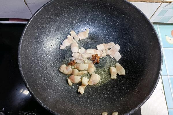 猪肉炖粉条的做法图解5