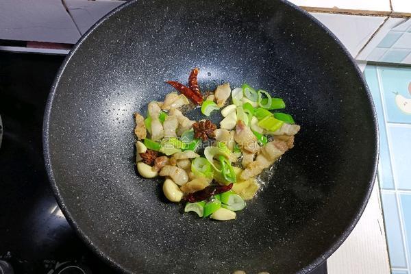 猪肉炖粉条的做法图解6