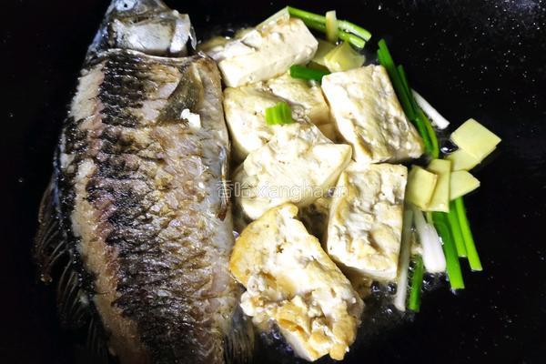 一上桌食欲大开~酸汤鲫鱼滑牛肉的做法图解2