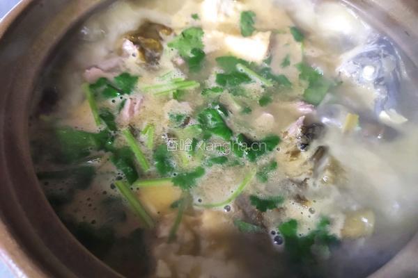 一上桌食欲大开~酸汤鲫鱼滑牛肉的做法图解7