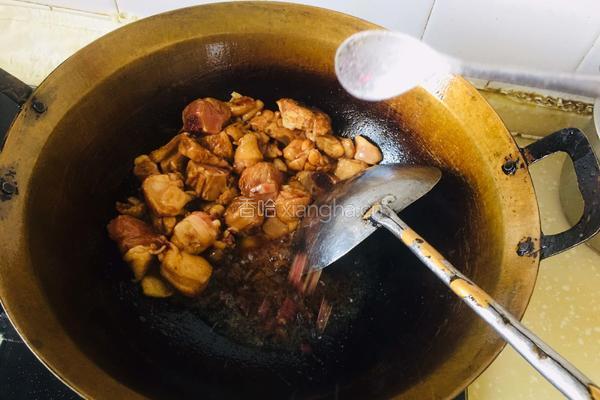 鸡肉土豆炖粉条的做法图解4