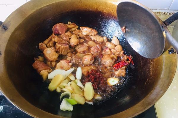 鸡肉土豆炖粉条的做法图解5
