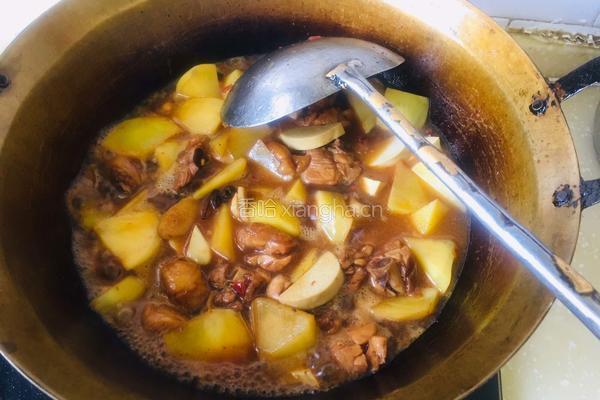 鸡肉土豆炖粉条的做法图解8