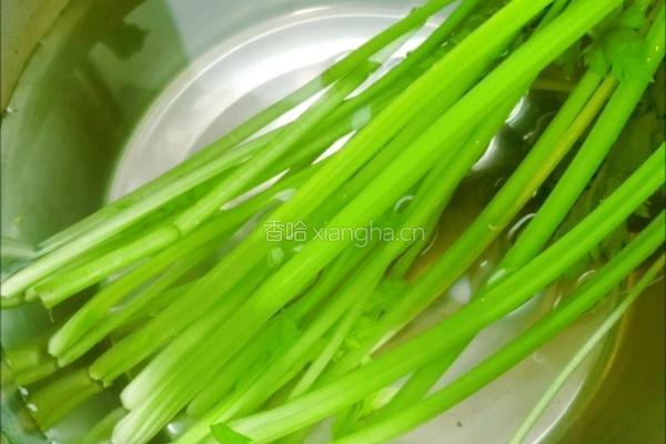 芹菜肉馅饼的做法图解10