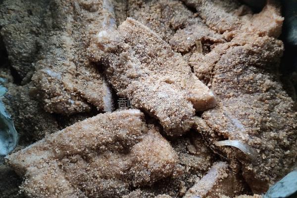 荷叶米粉肉的做法图解8