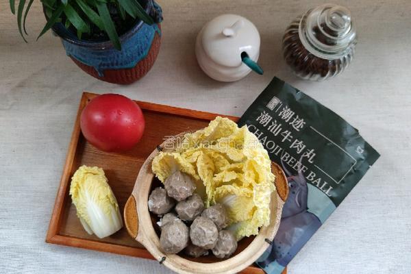 茄汁牛肉丸汤的做法图解1