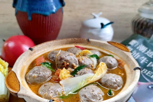 茄汁牛肉丸汤的做法图解4