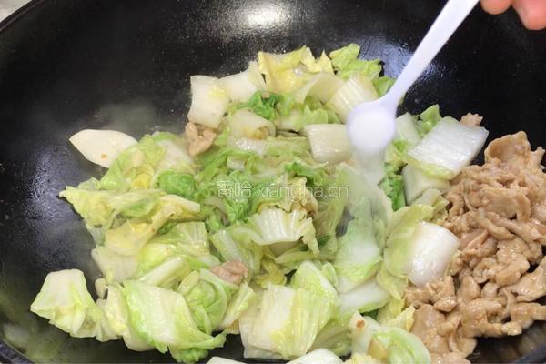 白菜炒肉的做法图解7