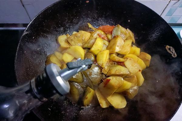 土豆炖茄子的做法图解13