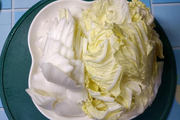 白菜炖豆腐的做法图解3