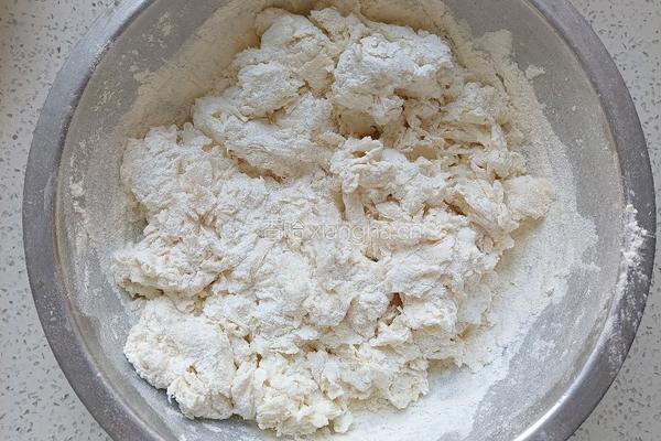 发面饼（老面发酵）的做法图解3