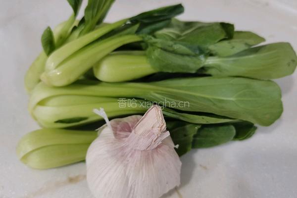 猪油渣炒小棠菜的做法图解1