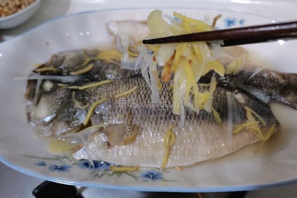 清蒸鲈鱼的做法图解5