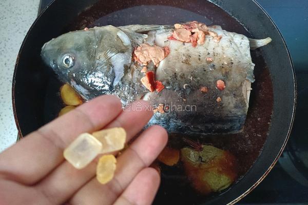 腐乳炖鱼的做法图解9