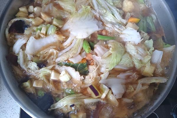 鸡肉烩菜的做法图解13