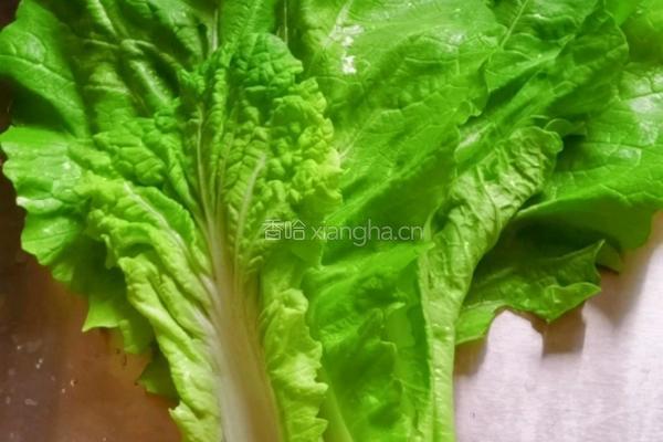 白菜山药粉丝汤的做法图解7
