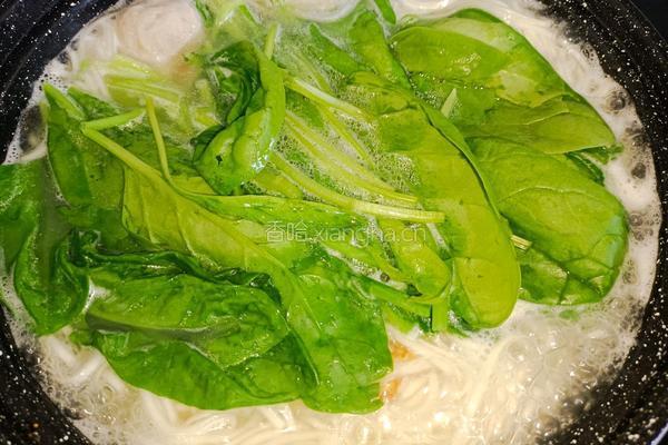 菠菜肉丸鸡蛋面的做法图解4