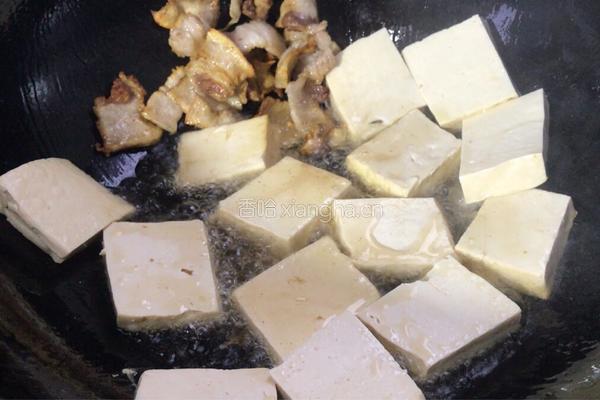 小白菜木耳烧豆腐的做法图解8