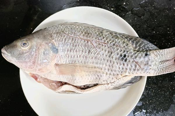 豆腐鲫鱼汤的做法图解1