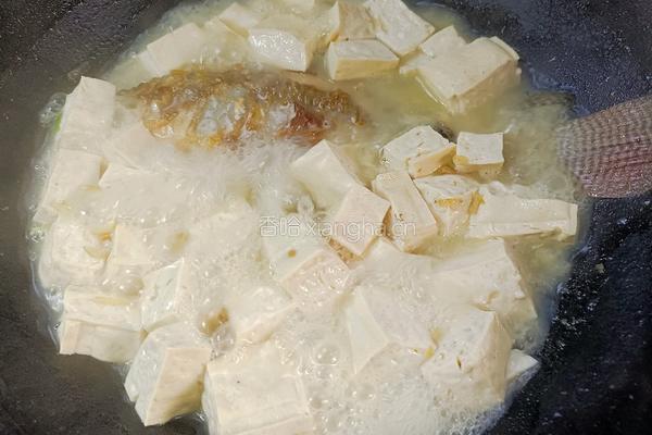 豆腐鲫鱼汤的做法图解8